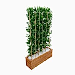 Ahşap Saksılı Yapay Bambu