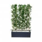 Bambu Yapay Çiçek 5 Adet