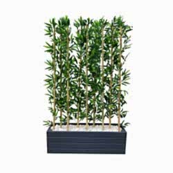 Bambu Yapay Çiçek 5 Adet