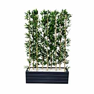 Bambu Yapay Çiçek I Bambu Saksısı I Antrasit Ahşap Saksı