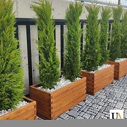 Kertme Ahşap Saksı