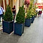 Geçmeli Ahşap Saksı