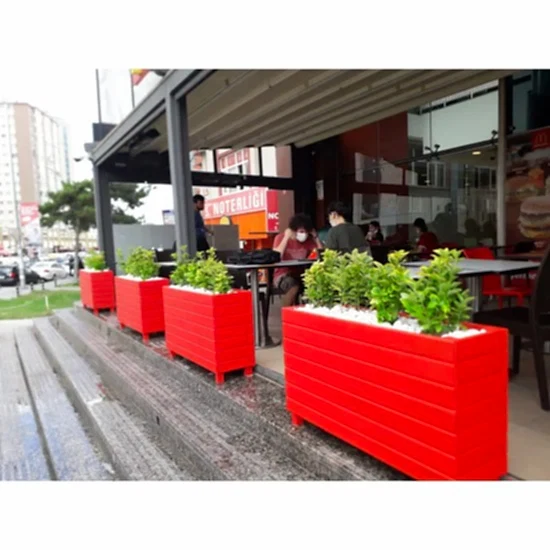 Altuni Taflan Çiçeği