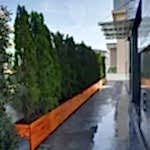 Lambri Ahşap Saksı 2