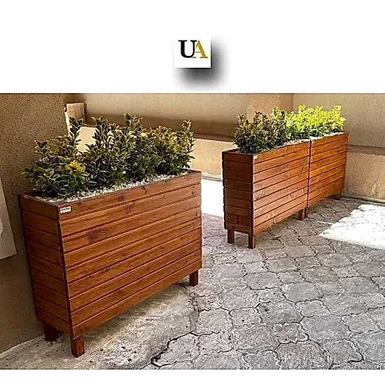 Altuni Taflan Çiçeği