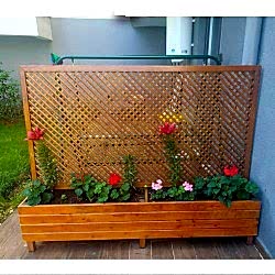 Seperatörlü Ahşap Saksı